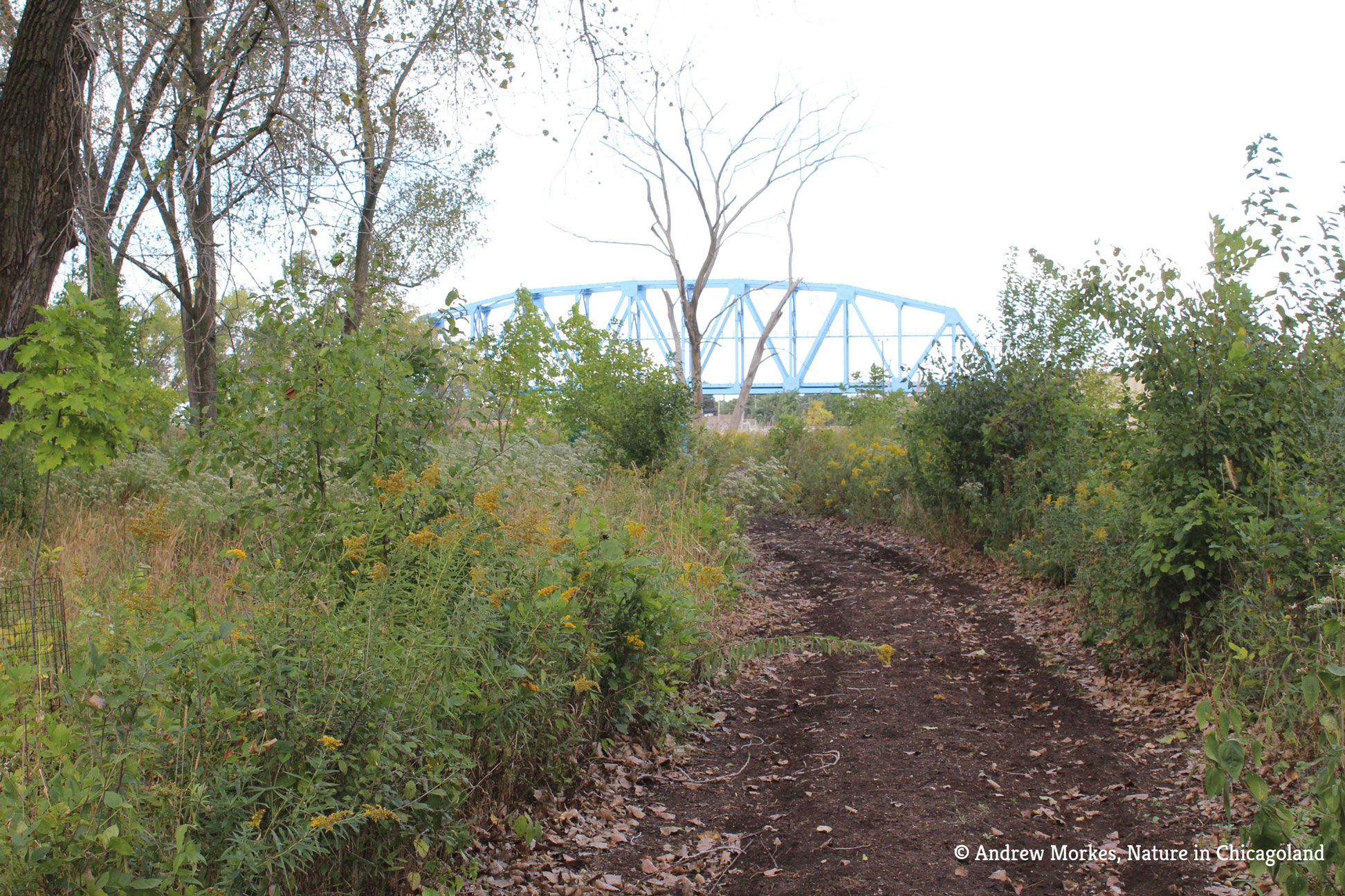 Image of a walking path in Hegewisch Marsh Park, Chicago