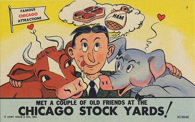 Curt Tech & Co. Postcard advertising the stockyards